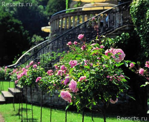 Hotel Villa Belrose 16